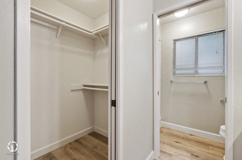 A white closet with a door open to a bathroom.