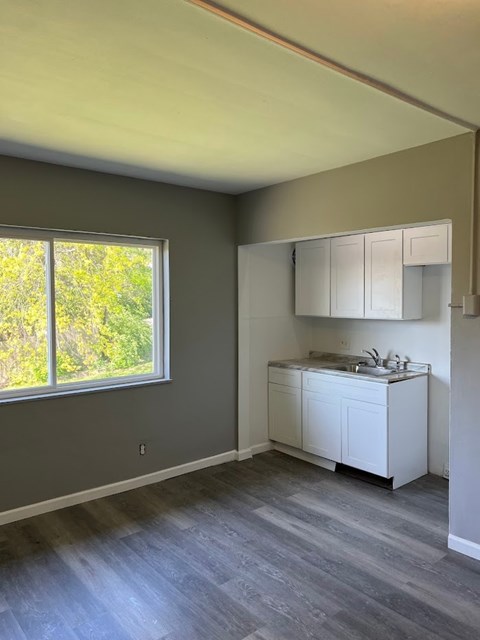 A kitchen with a sink and cabinets under a window.