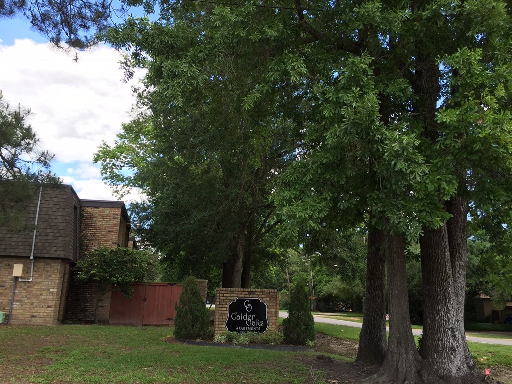 a view of the front of a house with trees and a sign