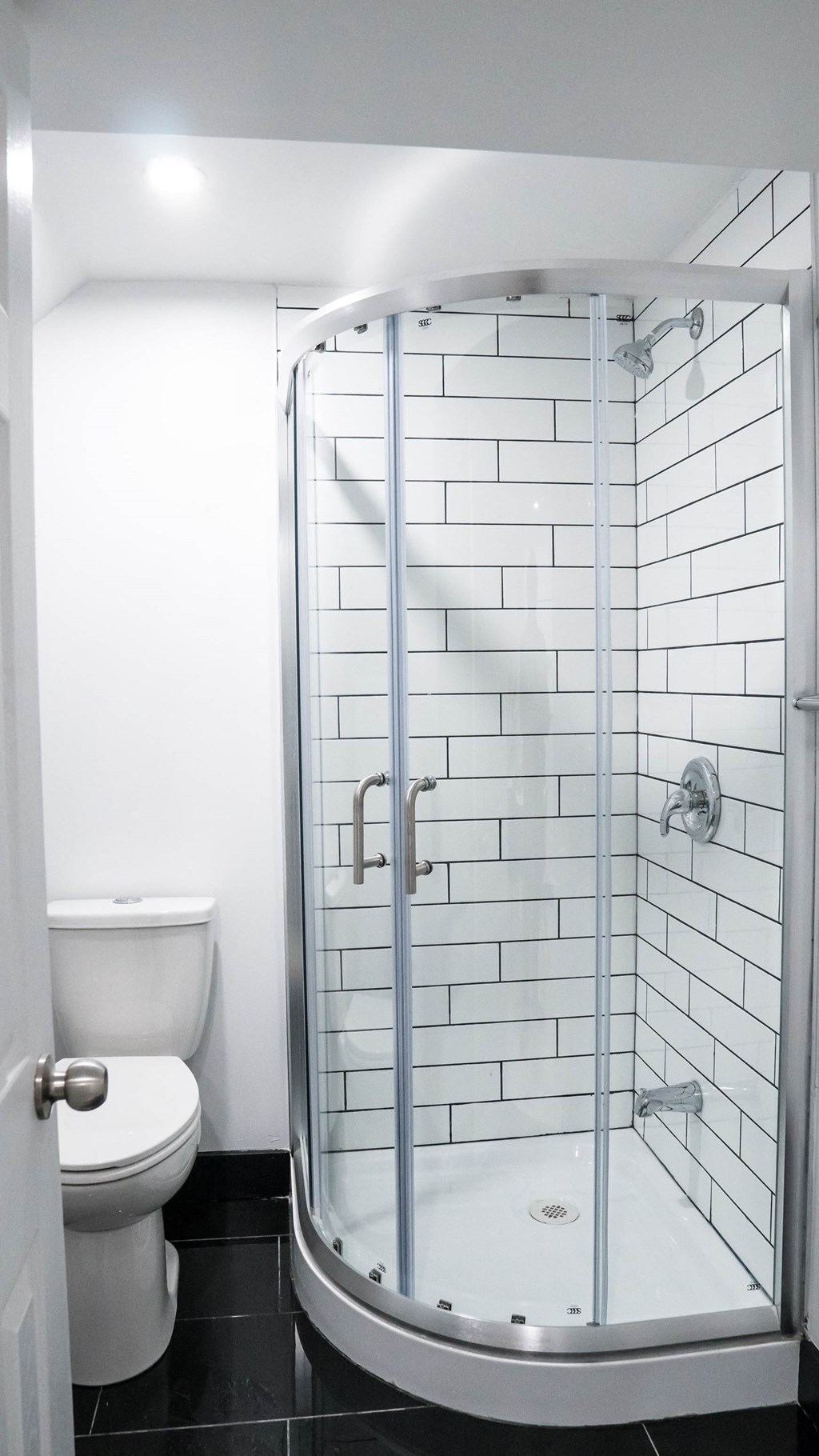 A white toilet is next to a walk-in shower.