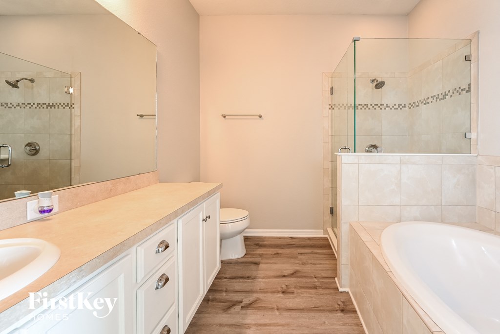 a bathroom with a sink and a toilet and a shower