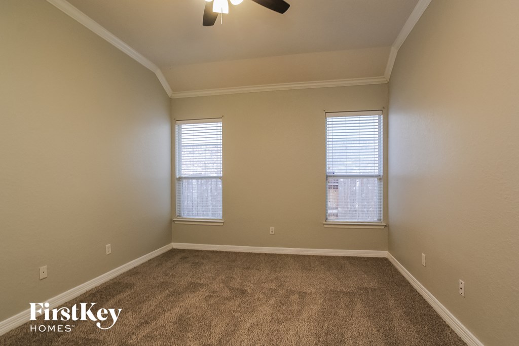 a carpeted room with two windows and a ceiling fan