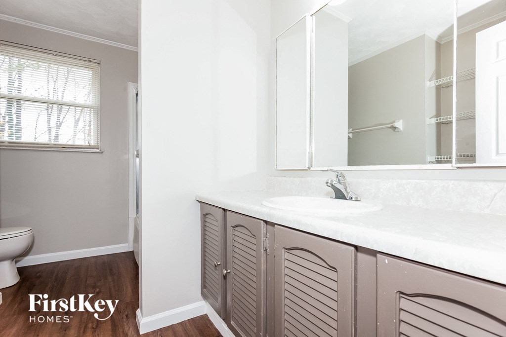 a bathroom with a sink and a mirror and a toilet