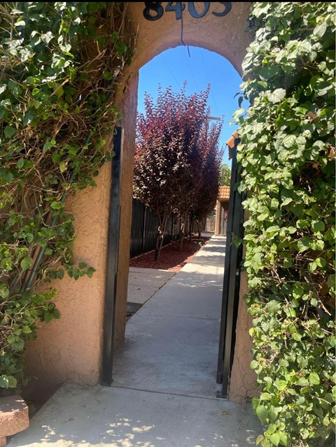 A pathway is seen through a doorway covered in greenery.