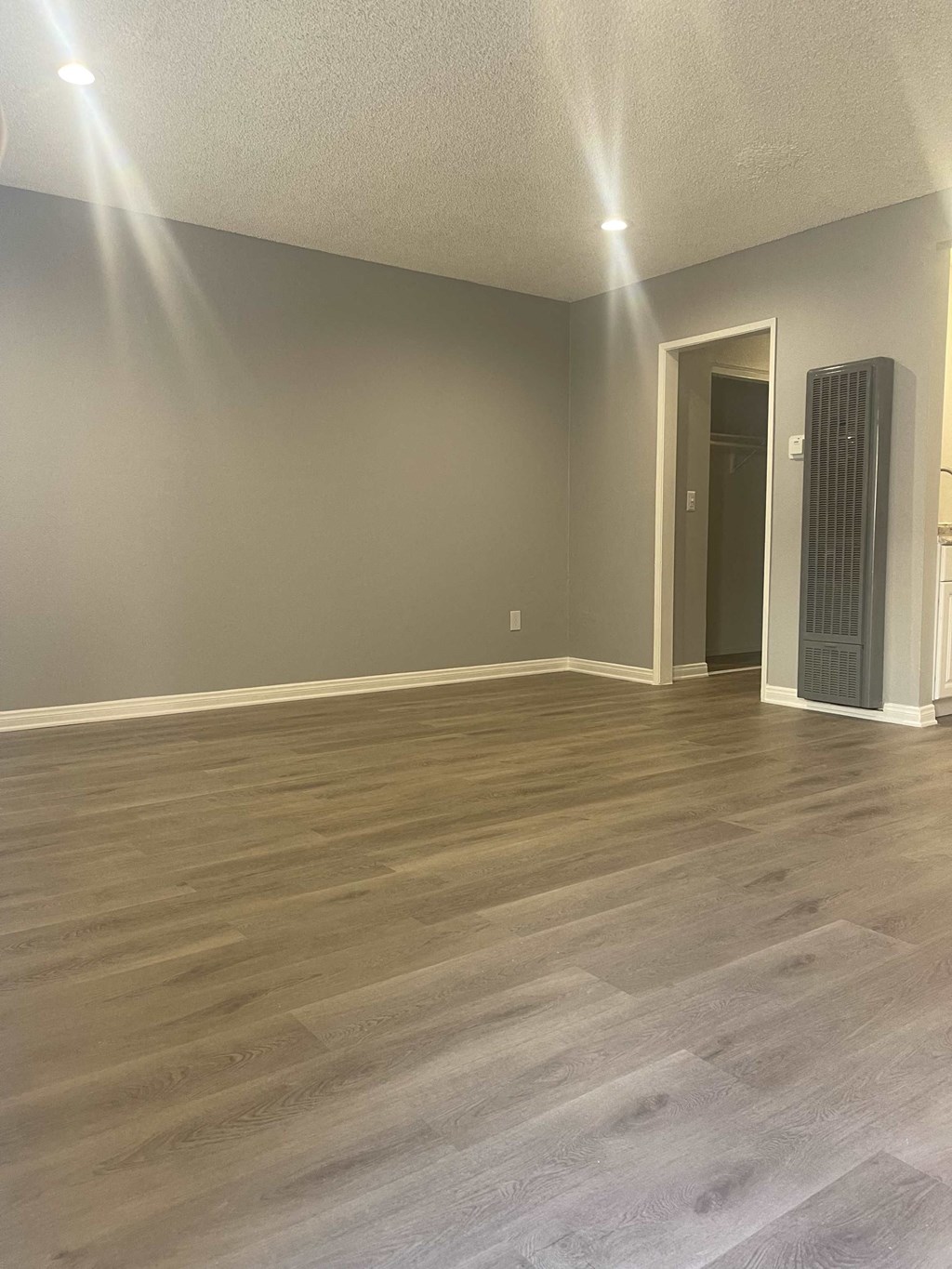 a living room with wood floors and gray walls and a radiator