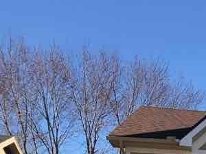 Image for 11213 N Donnelly Avenue Kansas City, MO 64157 - 11213 N Donnelly Avenue