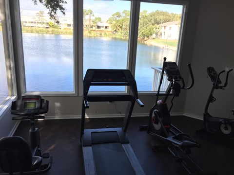 A home gym with exercise equipment and a view of a lake through the window.