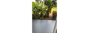 Juniper (EW)-2Bed/1 Bath
