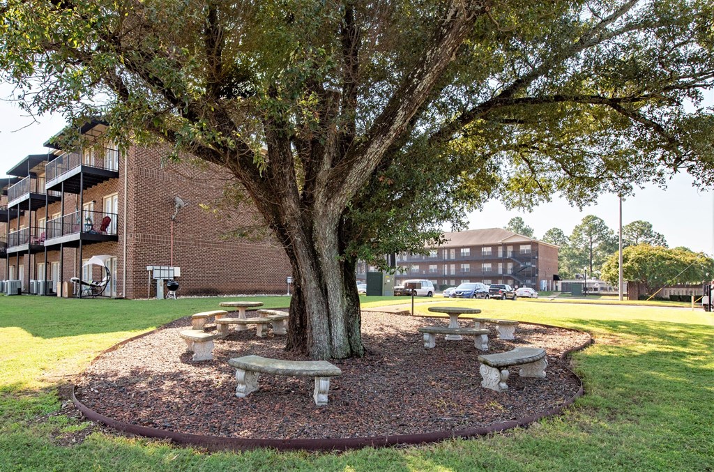 a group of benches around a tree in front of a building