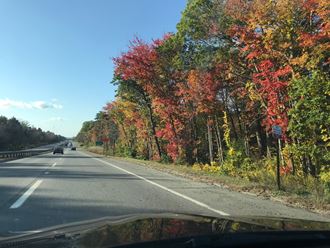 the road is lined with colorful trees on the side of the highway