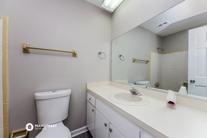 a bathroom with a sink and a toilet and a mirror