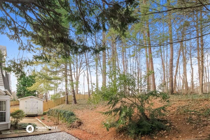 a backyard with trees and a shed and a driveway