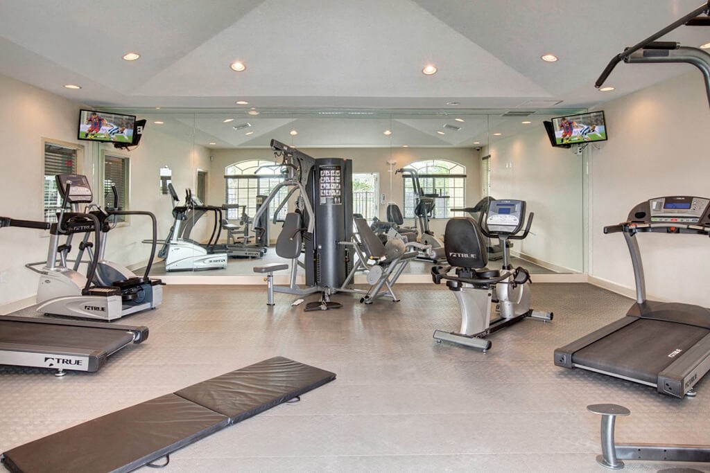the gym is equipped with a variety of exercise equipment
