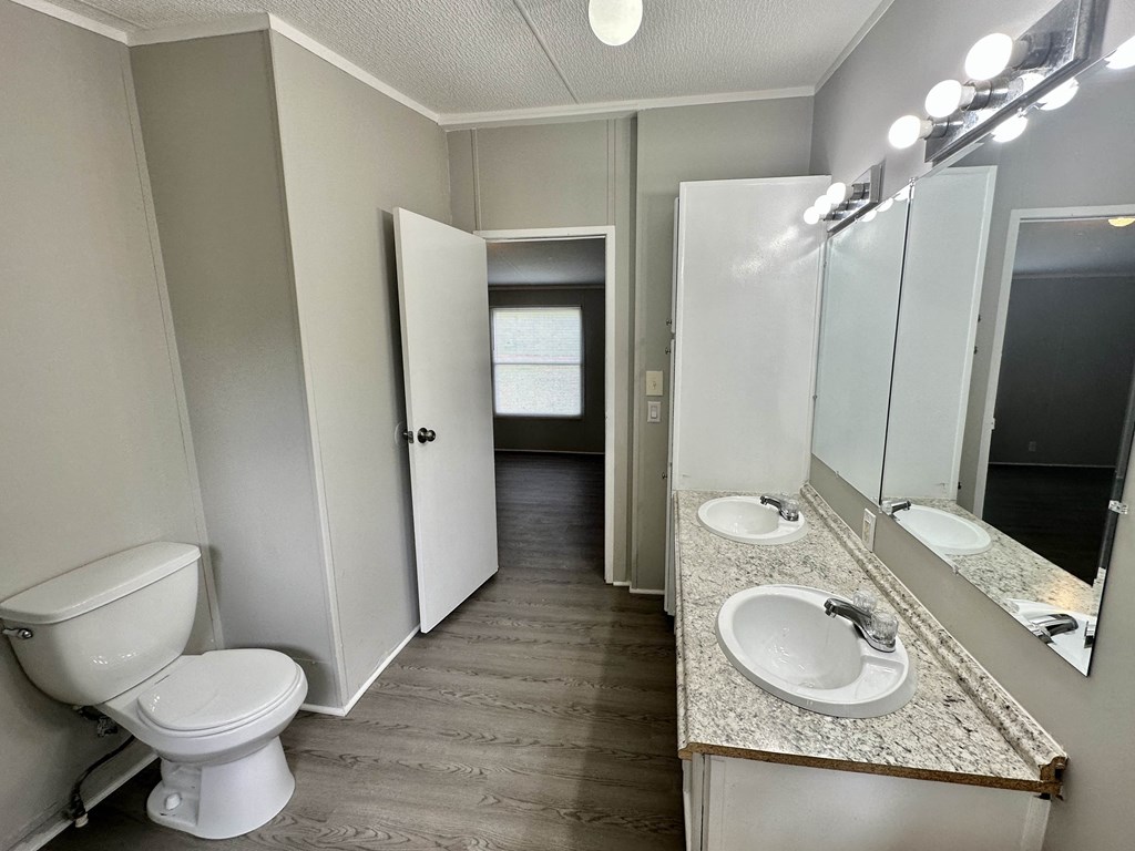 a bathroom with a toilet and a sink and a mirror