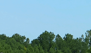 Luxury Apartment Homes Fayetteville Nc Homemade Ftempo