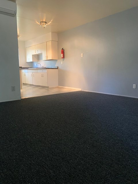 A black carpeted room with a kitchen in the background.