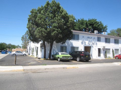 A white building with a tree in front of it.