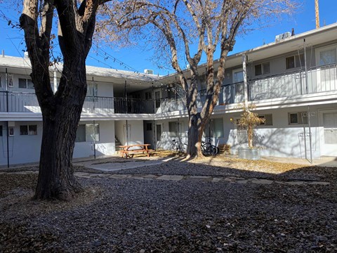 A courtyard with a tree and a bench in front of a building.