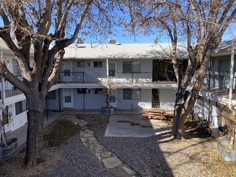 A courtyard with a white building and a tree in front.