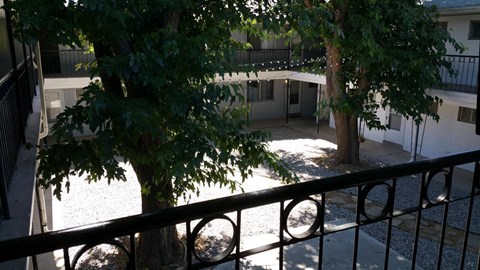 A balcony with a black railing and a tree in the center.