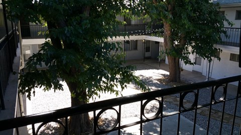 A balcony with a black railing and a tree in the center.