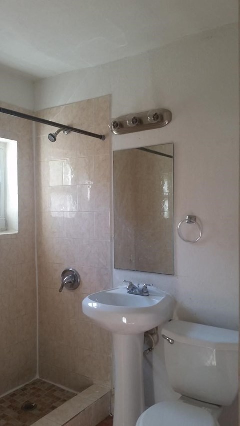 a bathroom with a sink and a toilet and a mirror