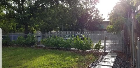 a yard with bushes and a fence