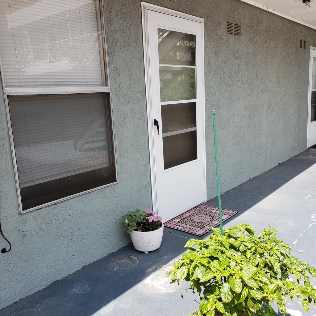 the front door of a house with a potted plant and a mop