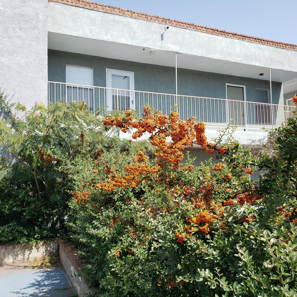 a building with a balcony and a garden with orange flowers