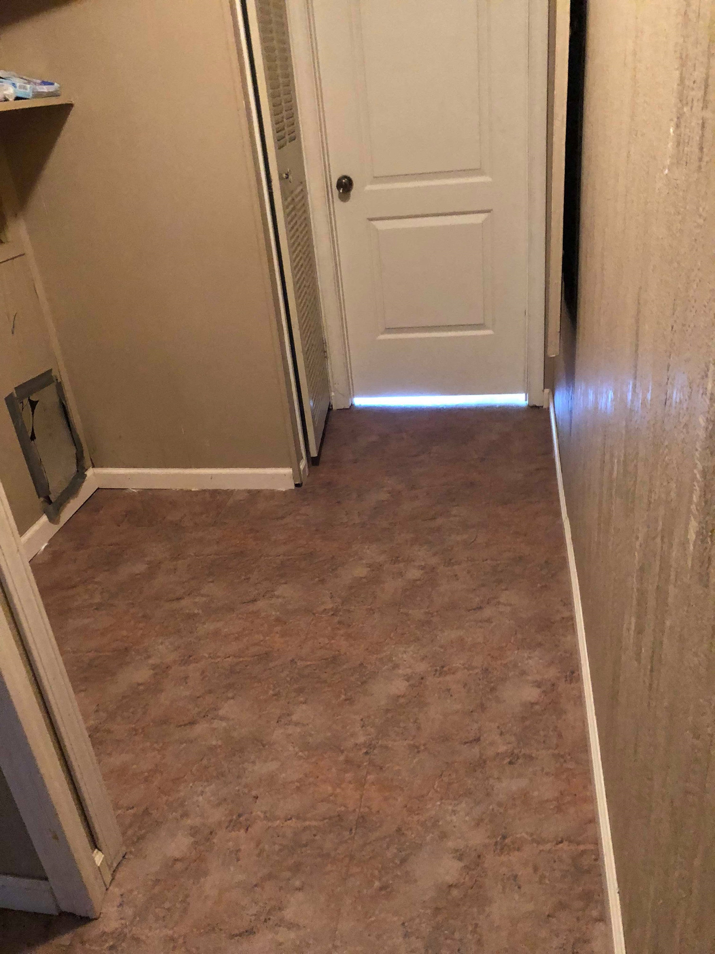 A hallway with a white door and brown carpeting.