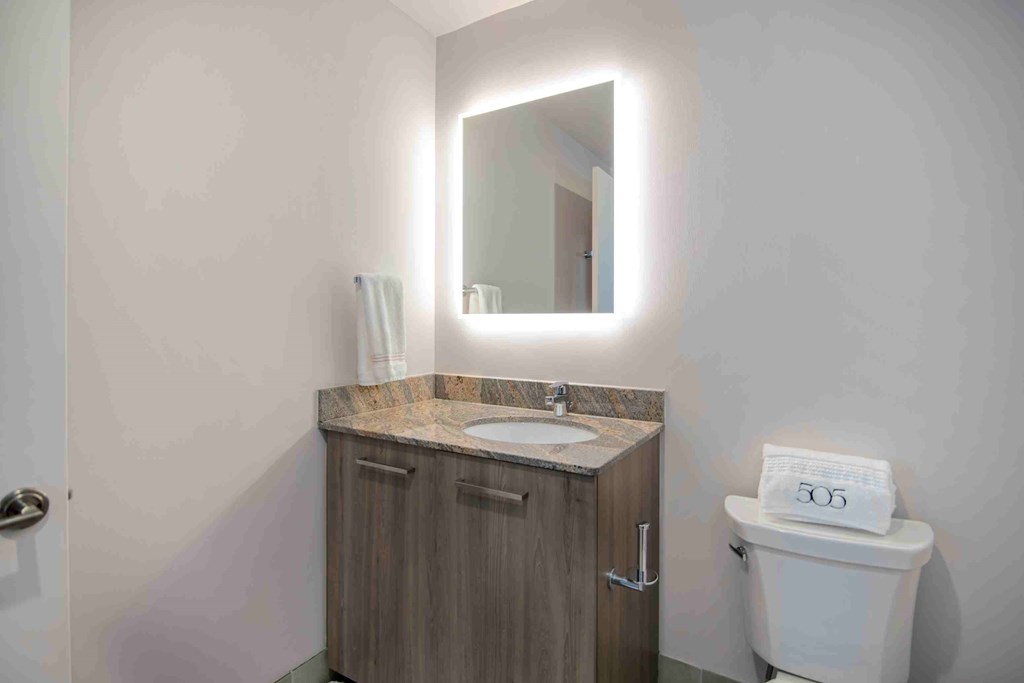 a bathroom with a toilet and a sink and a mirror