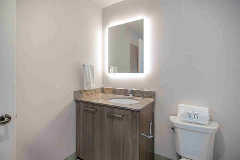 a bathroom with a toilet and a sink and a mirror