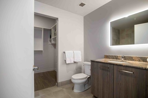 a bathroom with a toilet and a sink and a mirror