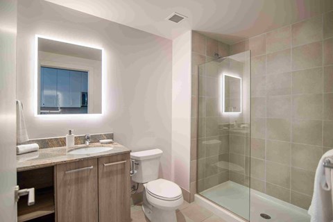 a bathroom with a shower toilet and sink and a mirror