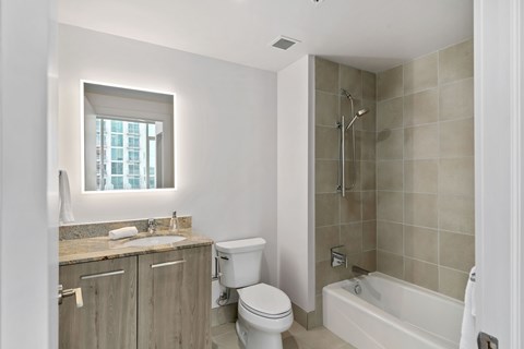 a bathroom with a shower toilet and sink and a mirror