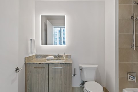 a bathroom with a toilet and a sink and a mirror