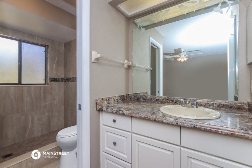 a bathroom with a sink and a mirror and a toilet