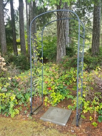 XXX E Mason Lake Drive E 3 Beds House for Rent - Photo Gallery 5