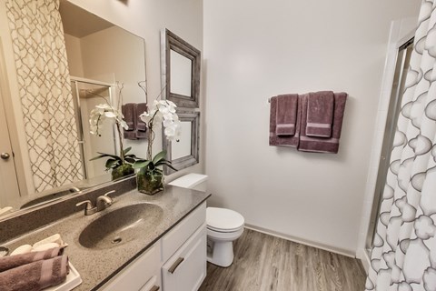 a bathroom with a sink and a mirror and a toilet