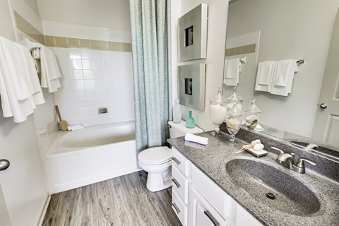 a bathroom with a sink and a toilet and a bath tub