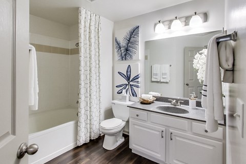 a bathroom with a shower and a sink and a toilet