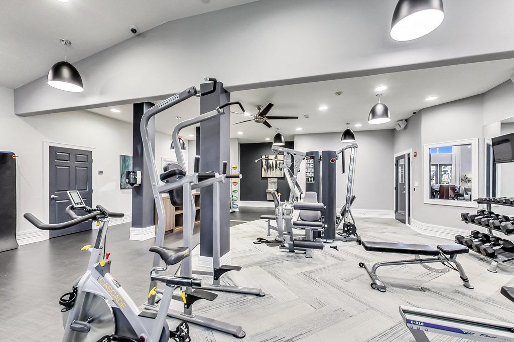 a gym with weights and cardio equipment in a home gym