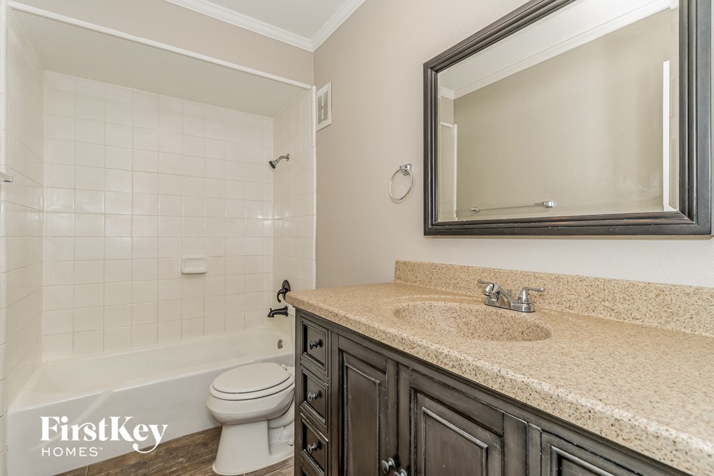 a bathroom with a sink and a toilet and a mirror