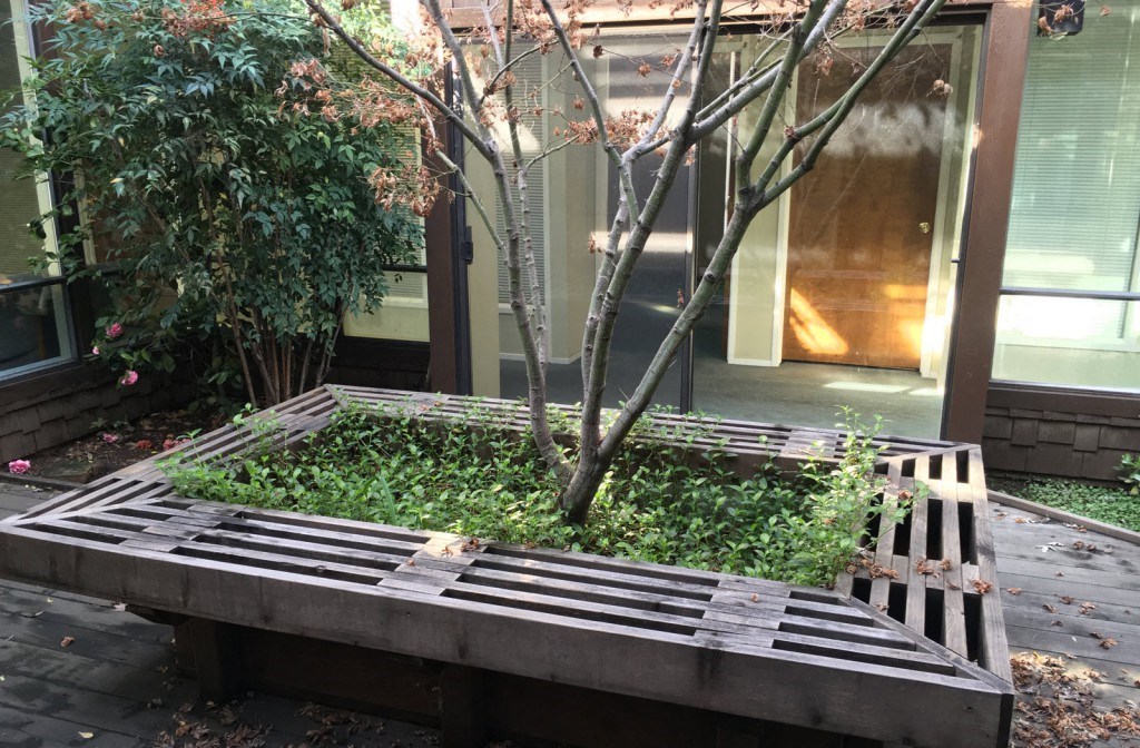 a bench around a tree in a courtyard