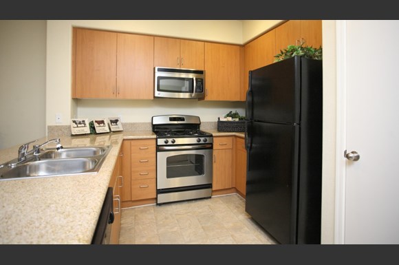 bela rosa apartment homes 3825 w anthem way anthem az rentcafé
