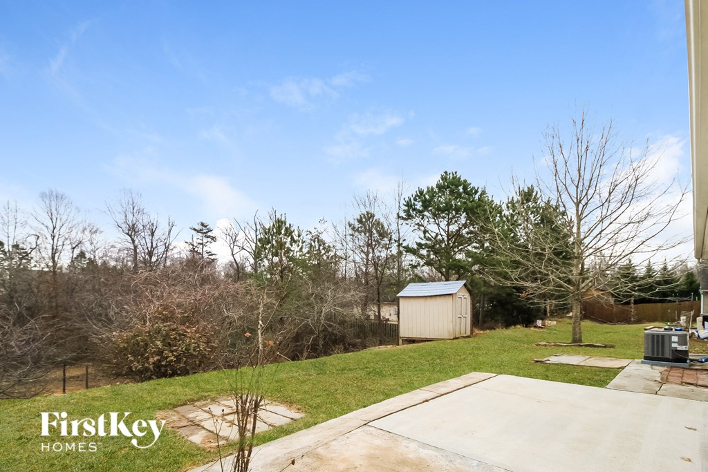 A backyard with a shed and a tree.