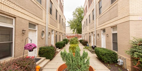 a walkway between two apartment buildings with flowers and bushes