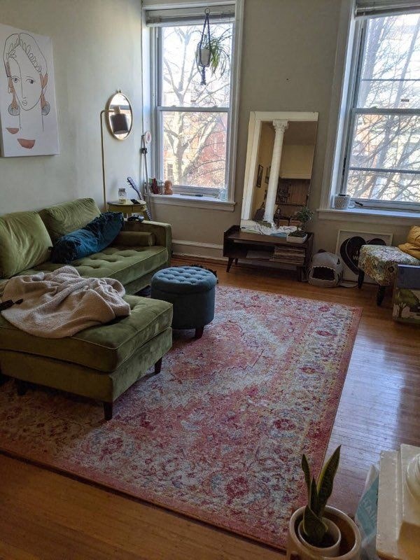 a living room with a rug and a green couch