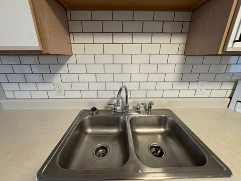 A kitchen with a double sink and a tile backsplash.