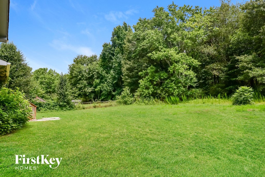 a large lawn with trees in the background
